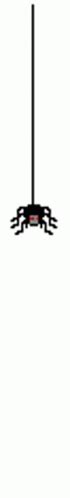 Spider Halloween Spider Sticker - Spider Halloween Spider - Discover ...