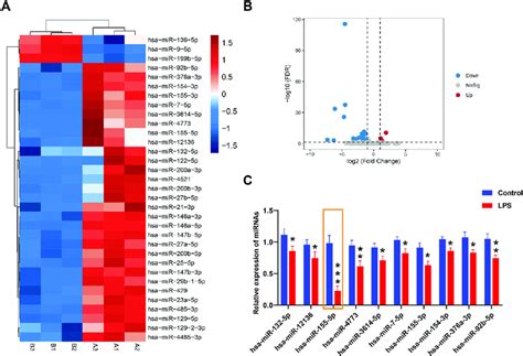 Differentially Expressed Mirnas Were Identified In Lps Induced Npcs A