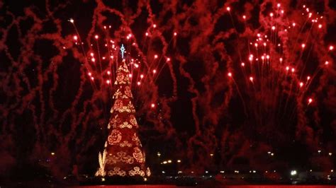 The 11 Most Iconic Christmas Trees Across The World