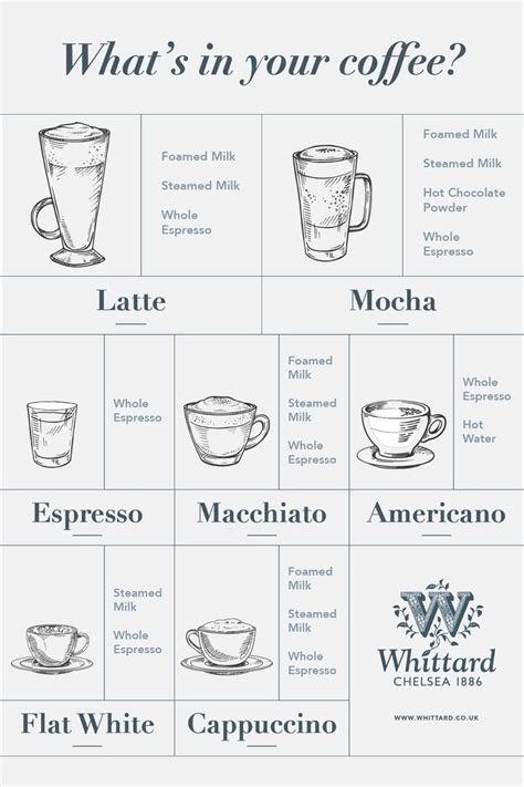 Different Types Of Coffee Explained In 2024 Barista Fashion Coffee