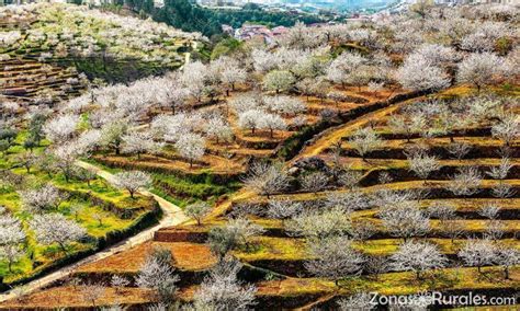 Valle Del Jerte El Mejor Destino Para Tus Vacaciones Rurales En