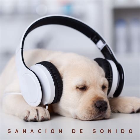 Sanaci N De Sonido Canciones Relajantes Pac Ficas Para Calma