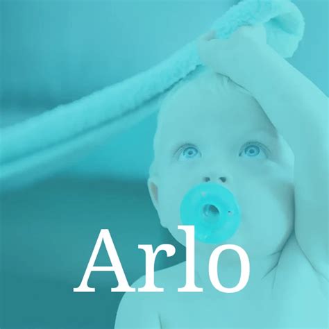 Arlo Everything About The Name And Its Meaning