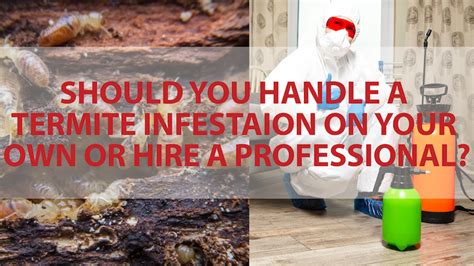 Hire A Professional To Handle Termites Or Do It On Your Own