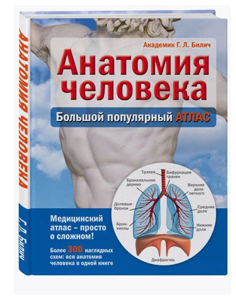 Характеристики Анатомия человека. Большой популярный атлас | Билич ...