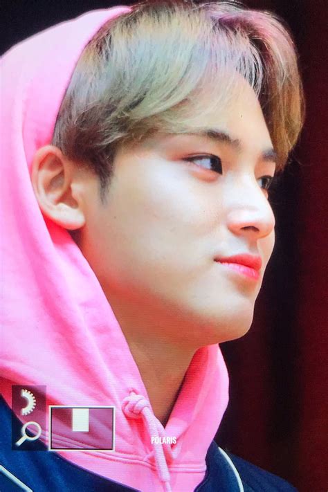 Pin By 𝓡𝓸𝓰𝓮𝓻 𝓡𝓪𝓫𝓫𝓲𝓽 On ꜱᴇᴠᴇɴᴛᴇᴇɴ ᴍɪɴɢʏᴜ Mingyu Seventeen Mingyu