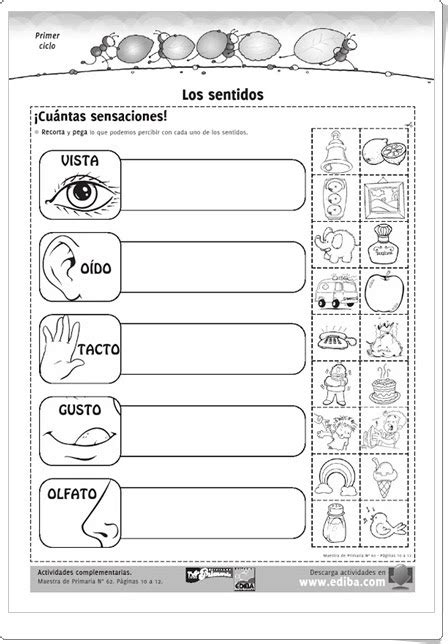 Recursos Didácticos Para Imprimir Ver Leer Los Sentidos Fichas De