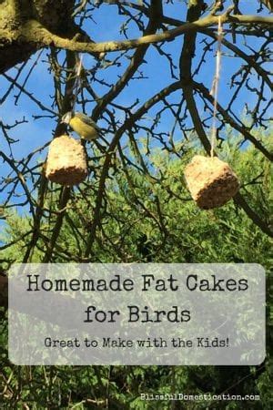 Home Made Fat Balls For Birds Blissful Domestication