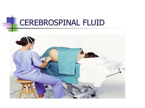 Ppt Biochemistry Of Cerebrospinal Fluid Powerpoint Presentation Free