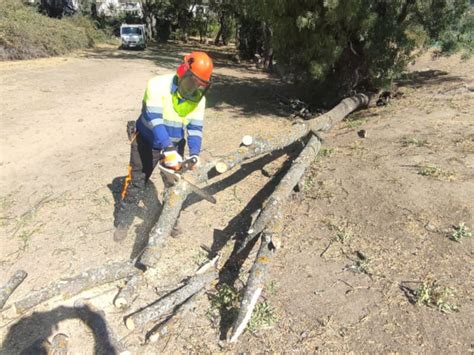 Collado Villalba Intensiva operación de limpieza y mantenimiento en