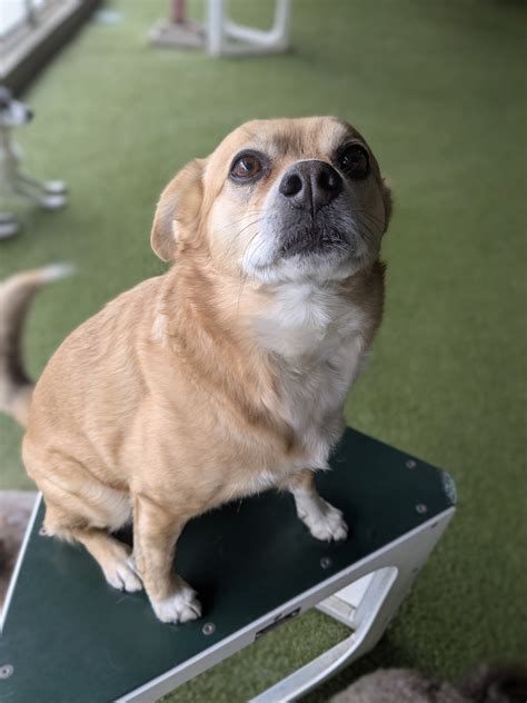 What to expect during your vca willow creek appointment 30