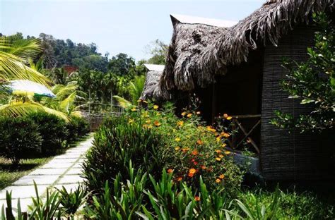 9 Best Hotels And Resorts in Andaman For Every Budget