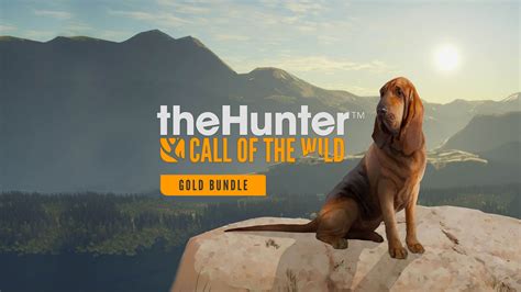 Thehunter call of the wild free download - hohrom