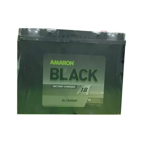 Amron Amaron Black Electric Vehicle Battery Model Name Number