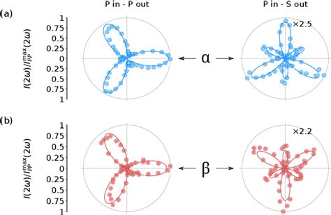 Figure From Second Harmonic Generation As A Probe Of Broken Mirror