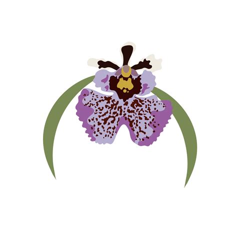 purple orchid on transparent background 9885205 PNG