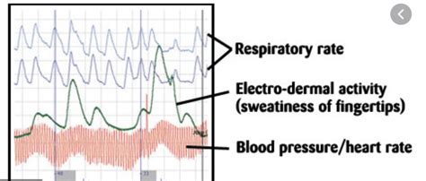 Polygraph Lie Detector Wellington Investigations