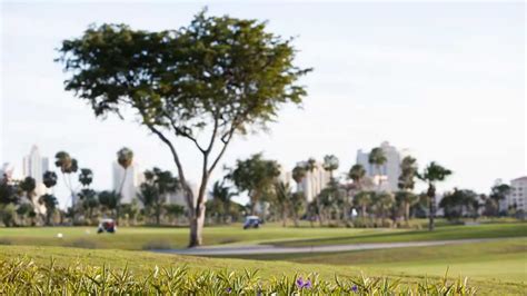 The Best Golf Resorts in the State of Florida – Endless Summer Florida