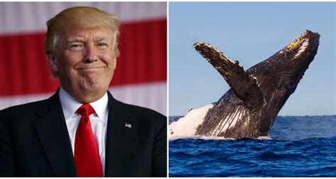 Donald Trump In Twitter Gaffe As He Calls Charles The Prince Of ‘whales