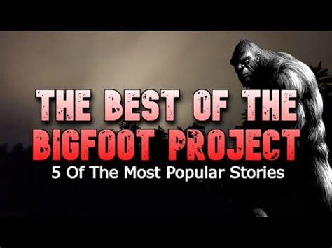 The Best Of The Bigfoot Project Of The Most Popular Stories Youtube