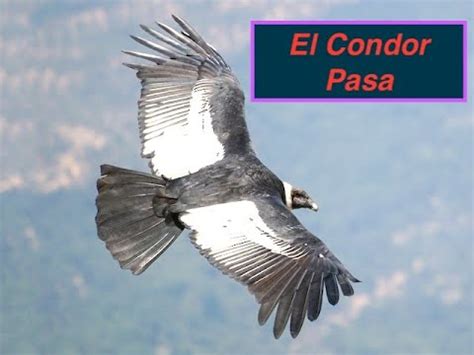 El Condor Pasa If I Could Simon And Garfunkel Youtube