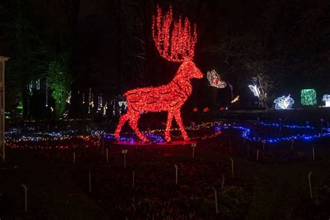 Imprezy w Warszawie 10 12 grudnia Przegląd najciekawszych wydarzeń na