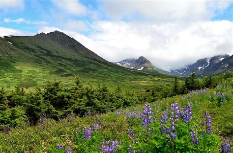 Chugach State Park : Photos, Diagrams & Topos : SummitPost