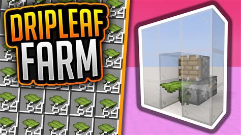 Minecraft 1 17 1 Dripleaf Farm Tutorial 100 Items In 60 Sekunden