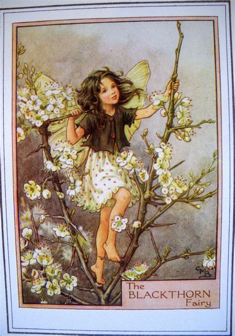 The Blackthorn Fairy Cicely Mary Barker 1930s Print Etsy