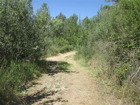 TRAS LAS HUELLAS DE HERÓDOTO PASEO DE FUENTES BLANCAS EN BURGOS