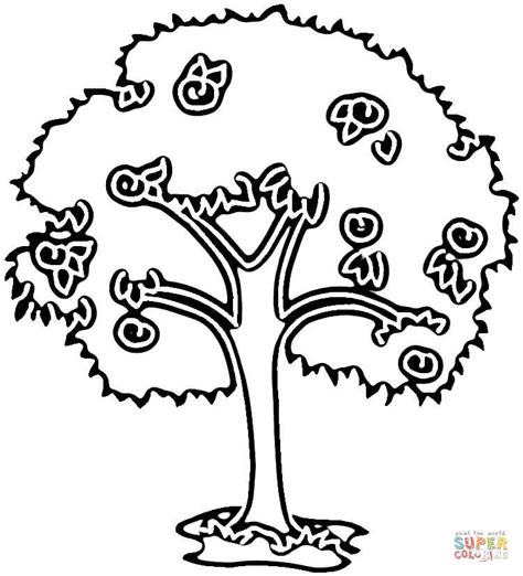 Plum Tree Coloring Page Free Printable Coloring Pages