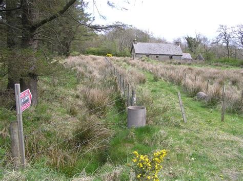 Eggybane Kenneth Allen Cc By Sa Geograph Ireland