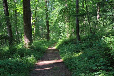 New York Brigade Trail Jockey Hollow Dave Aragona Flickr