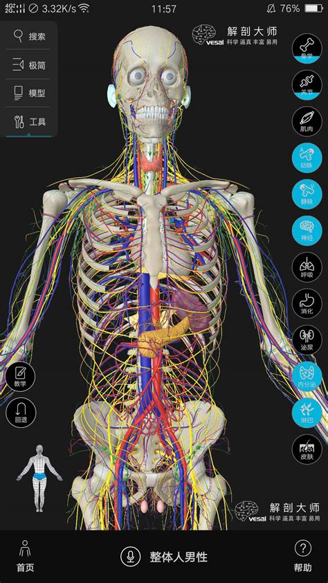 3d人体解剖图 高清的哦，希望对大家有帮助 搜狐大视野 搜狐新闻