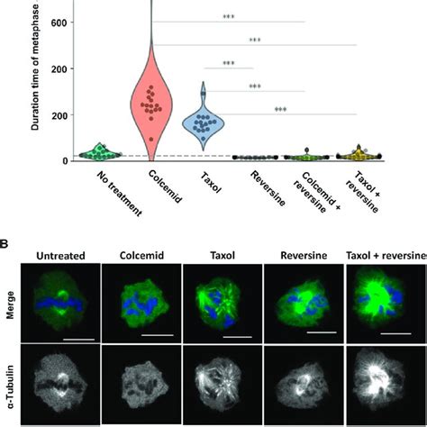 Fluorescence in situ hybridization (FISH) analysis FISH analysis of (A ... 