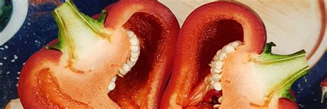 Коллекция сортовых перцев и томатов | Только хиты мировой селекции ...