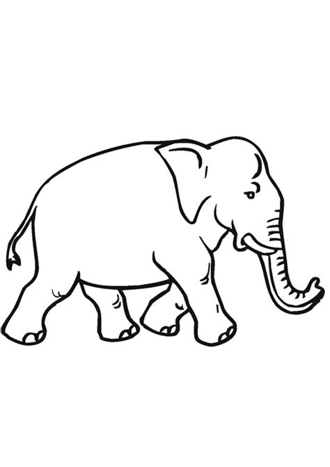 Elephant Colouring Pages