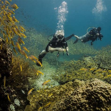 Discover Scuba Diving from Khao Lak - Khao Lak | Project Expedition