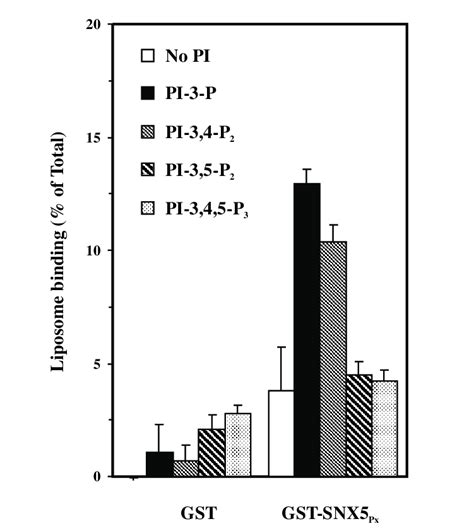 The Px Domain Of Snx Binds To Ptdins P And Ptdins P The