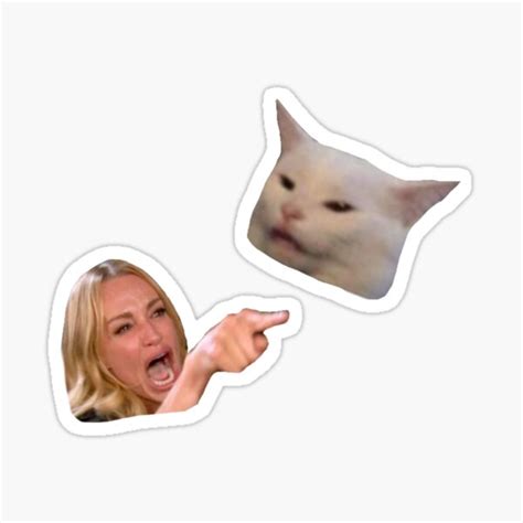Cat Meme Sticker Pack Sticker By Agligani Redbubble