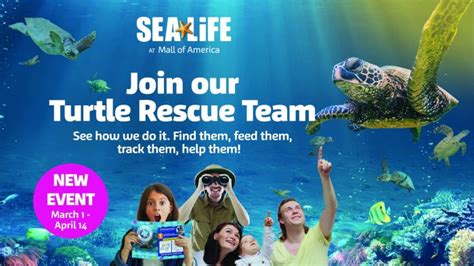 Turtle Rescue Team at SEA LIFE MOA - Eagan Minnesota