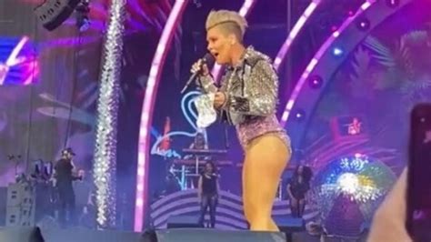 Pink Fan Lancia Un Sacco Con Le Ceneri Della Madre Sul Palco La