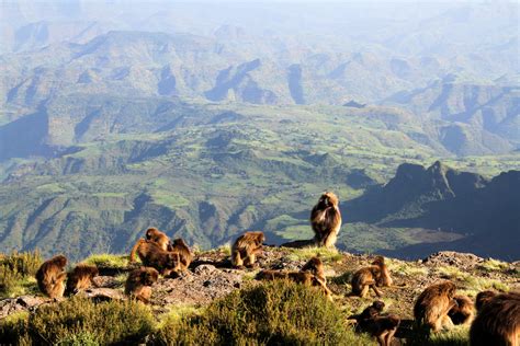 Simien Mountains National Park ሰሜን ብሄራዊ ፓርክ — Gorgeous Ethiopia