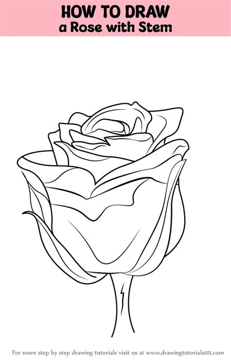 How To Draw A Rose With Stem Rose Step By Step