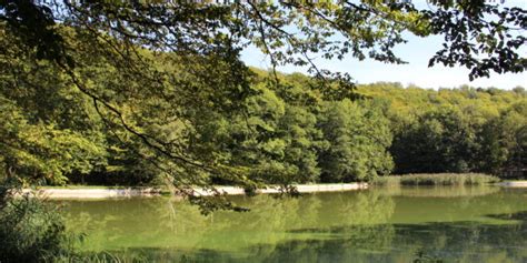 Beaulieu En Argonne En Camping Car Meuse 55