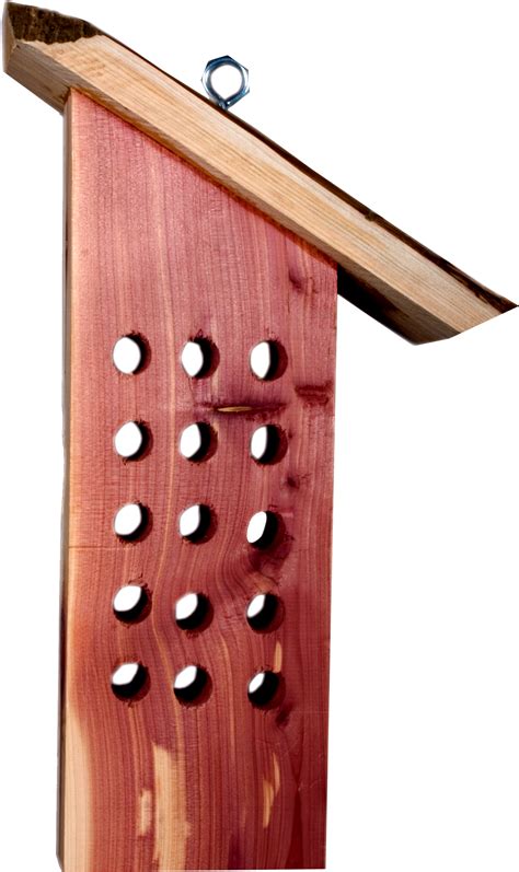 3lbs Suet Cakes | Pine Tree farms, Inc