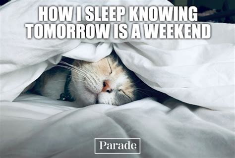 35 Funny Sleep Memes on Insomnia, Naps, Alarm Clocks - Parade