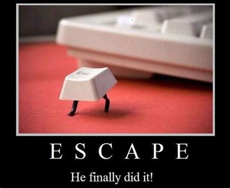 Escape He Finally Did It Crazy Pics Funny Keyboard Humor Escape