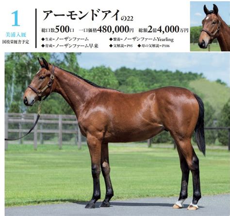 【01 10】シルク2023年度募集馬全頭評価① バッタの一口馬主データ分析室