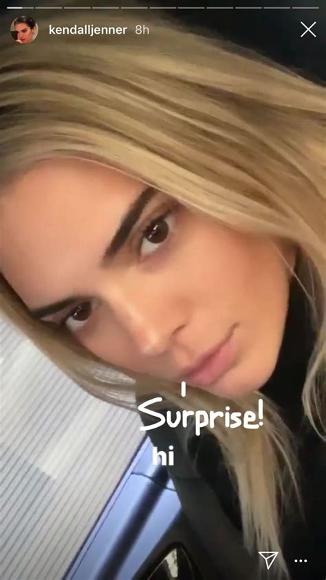 Kendall Jenner Goes Blonde But Is It A Wig Perez Hilton